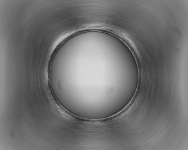 X0000110681328200906121027
