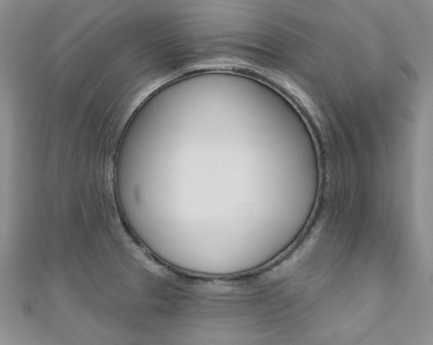 X0000110681329200906121027