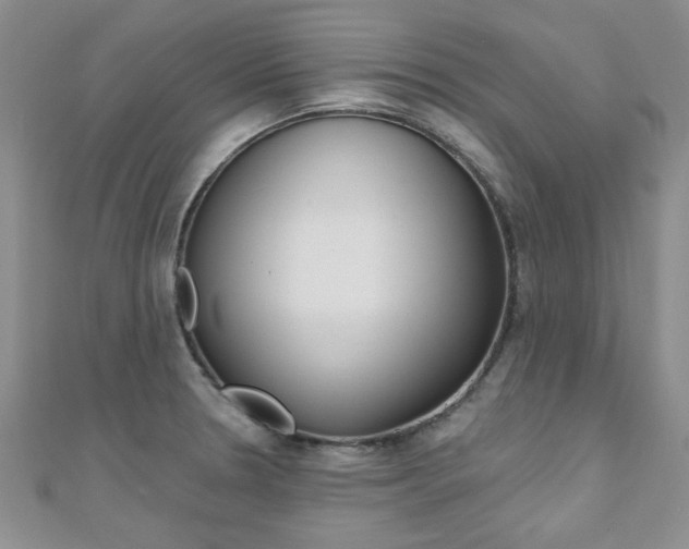 X0000110681330200906121027