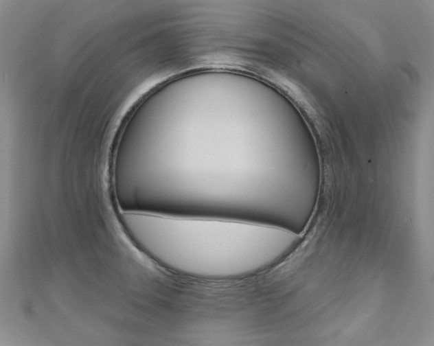 X0000110681331200906121027