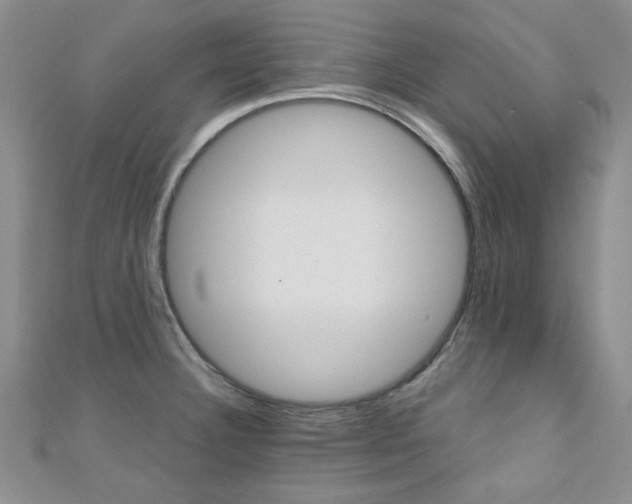X0000110681332200906121027