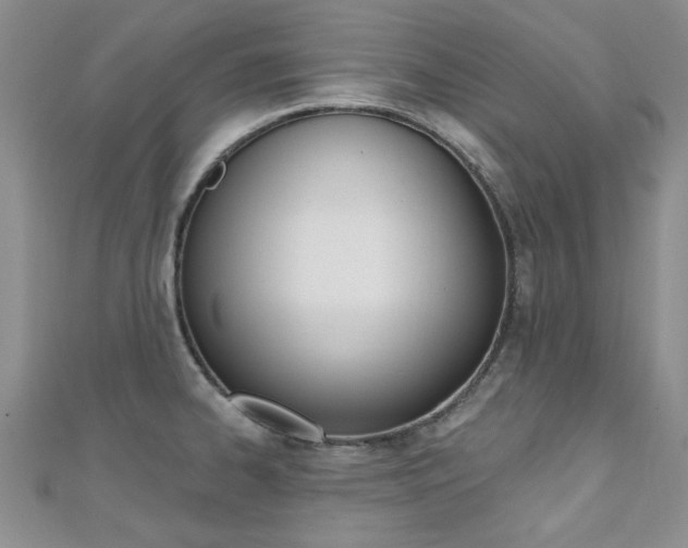 X0000110681334200906121027