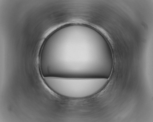 X0000110681335200906121027