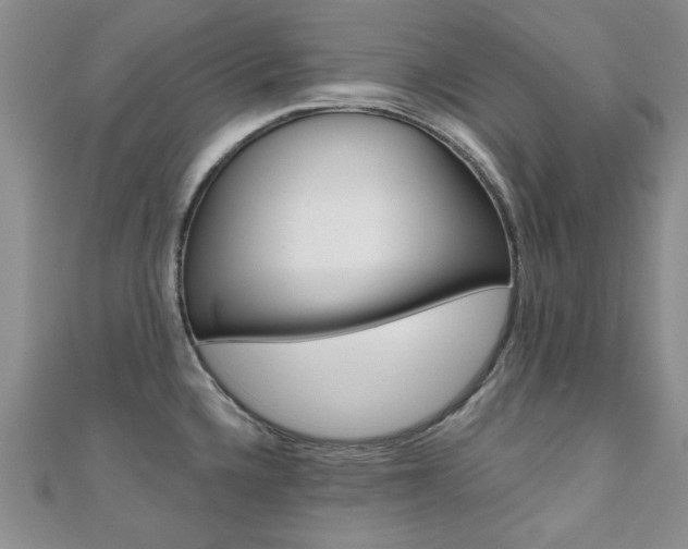 X0000110681336200906121027