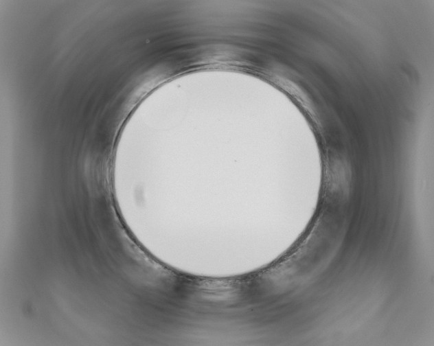 X0000110681338200906121027