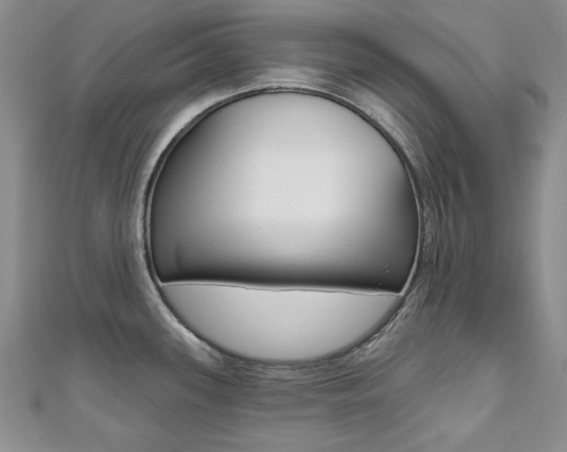 X0000110681339200906121027