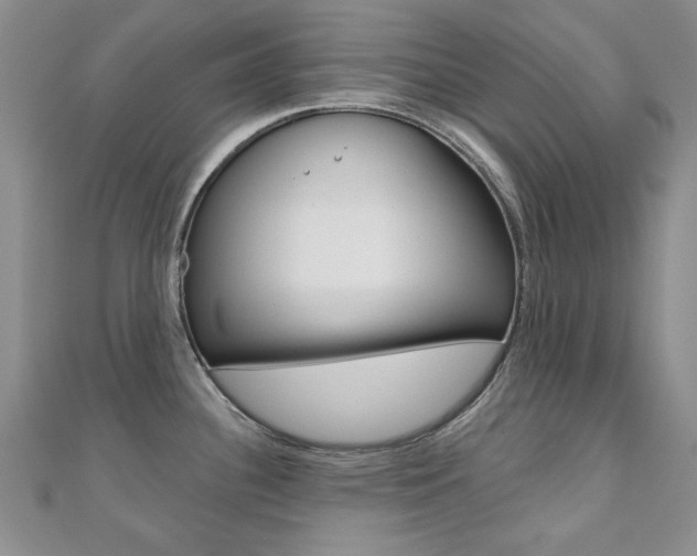 X0000110681340200906121027