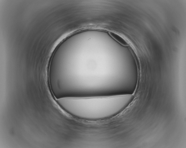 X0000110681341200906121027