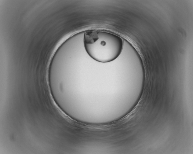 X0000110681342200906121027