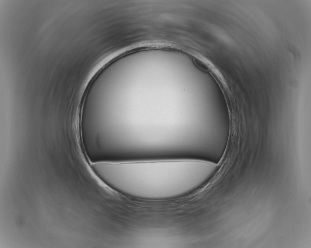 X0000110681343200906121027