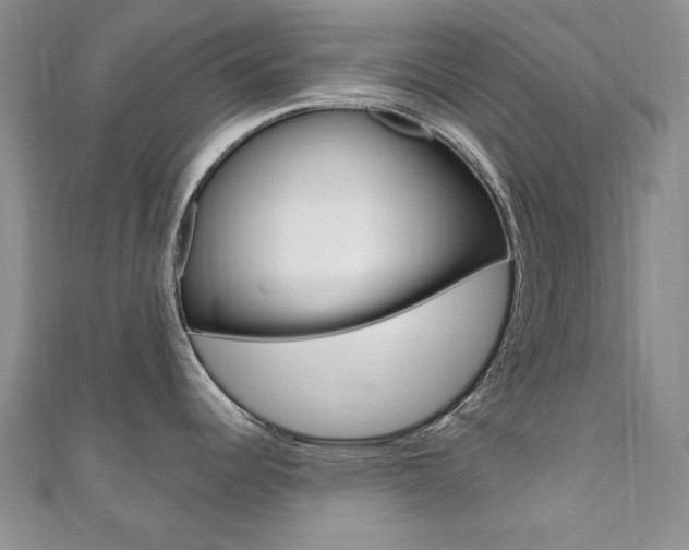 X0000110681344200906121027