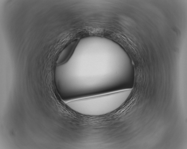 X0000110681345200906121026