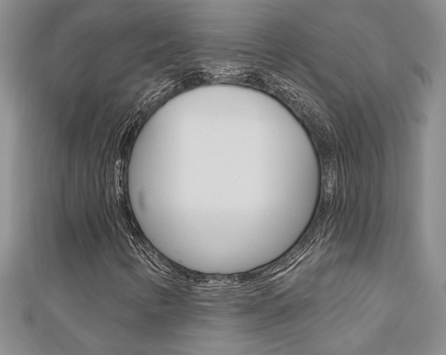 X0000110681346200906121026