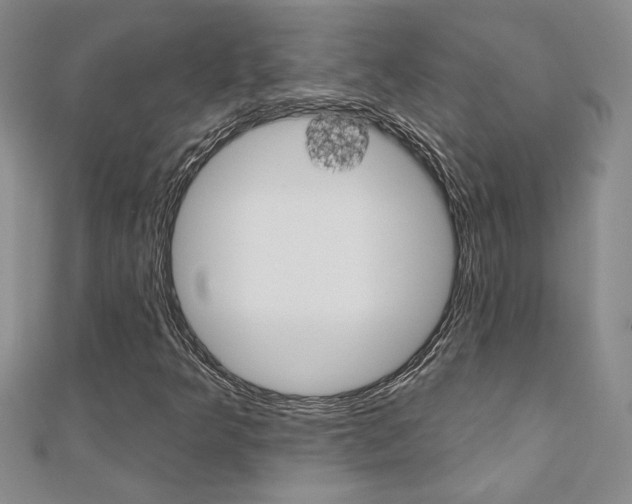 X0000110681349200906121026
