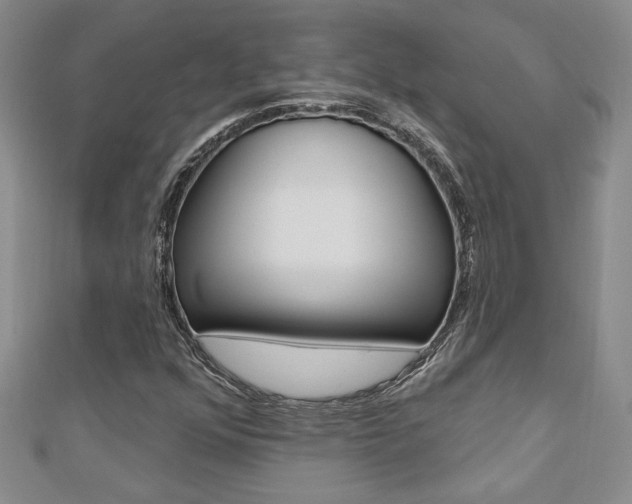 X0000110681352200906121026