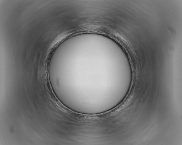 X0000110681354200906121026