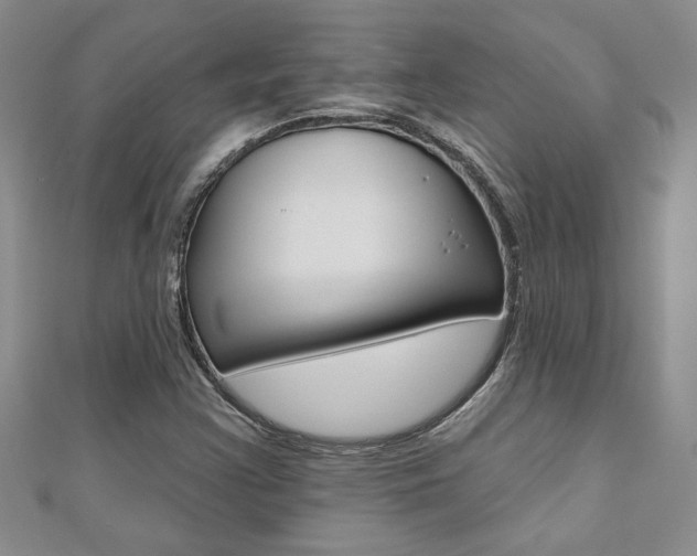 X0000110681355200906121026