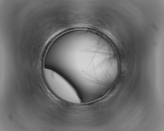 X0000110681356200906121026
