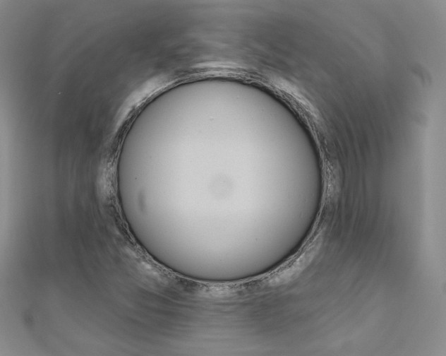 X0000110681357200906121026