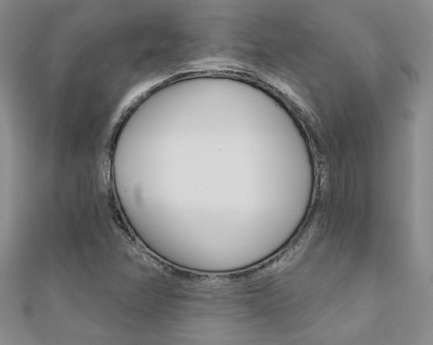 X0000110681358200906121026