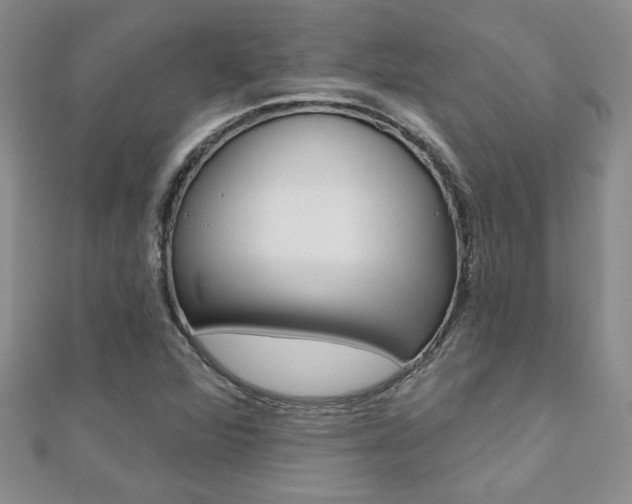 X0000110681360200906121026