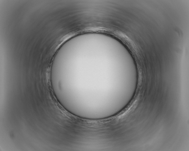 X0000110681361200906121026