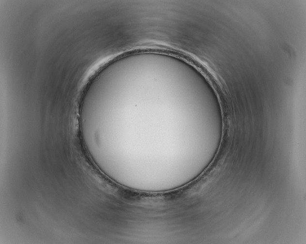 X0000110681363200906121026