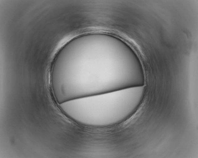 X0000110681365200906121026