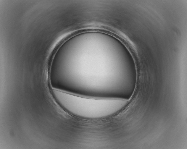 X0000110681368200906121026