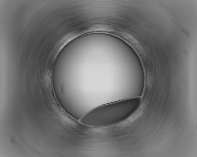 X0000110681369200906121026
