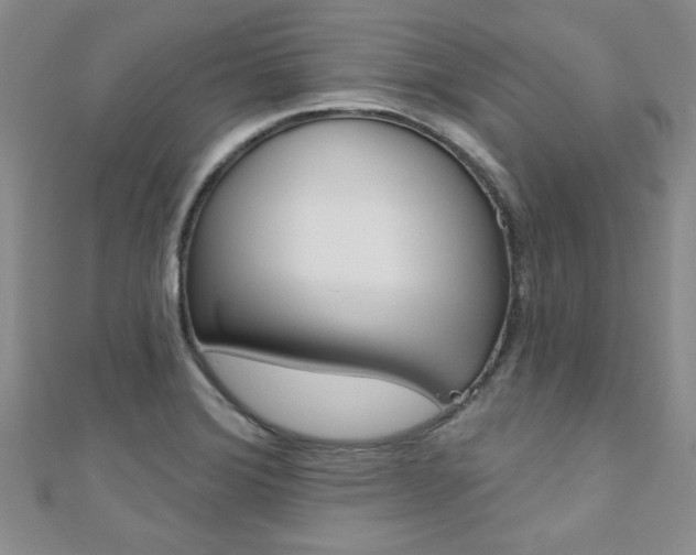 X0000110681372200906121026