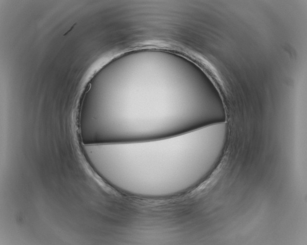 X0000110681373200906121026