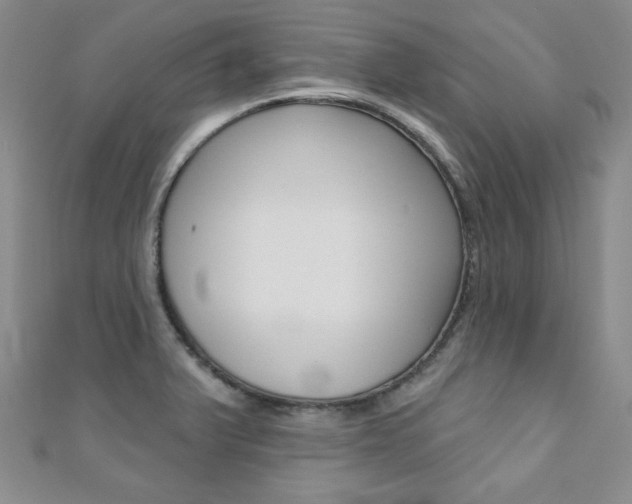 X0000110681375200906121026