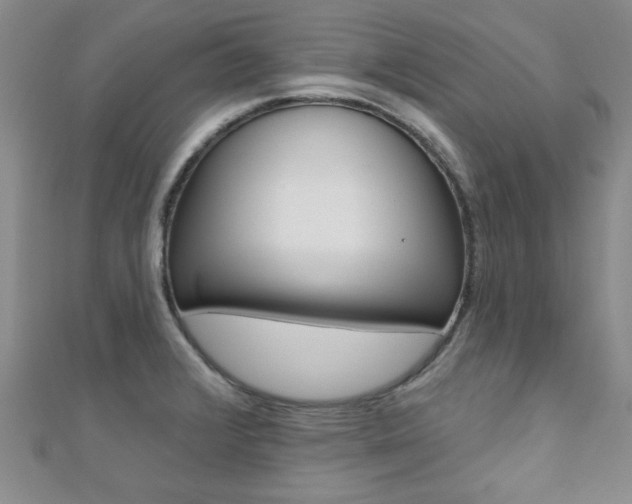 X0000110681376200906121026