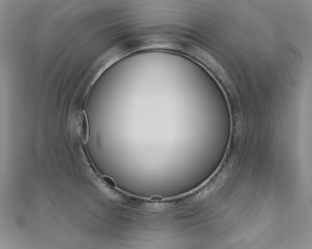 X0000110681377200906121026
