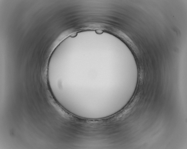 X0000110681378200906121026
