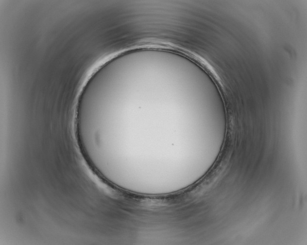 X0000110681379200906121026