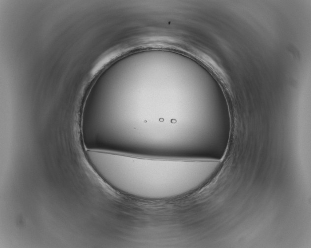 X0000110681384200906121026