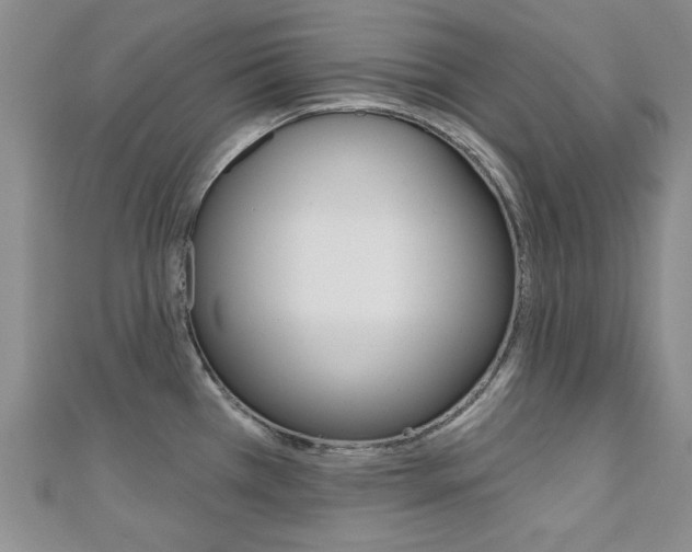 X0000110681385200906121026