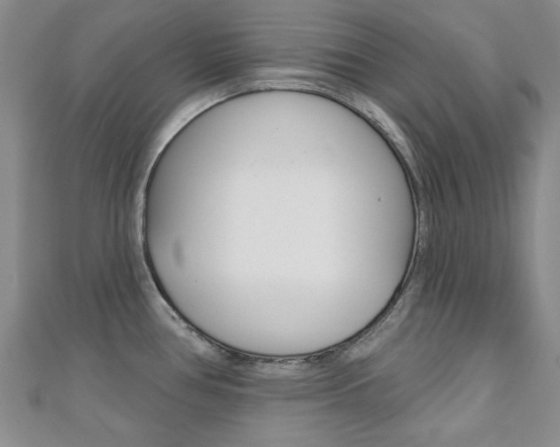 X0000110681386200906121026