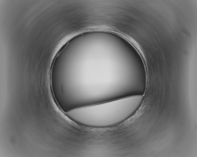 X0000110681389200906121026