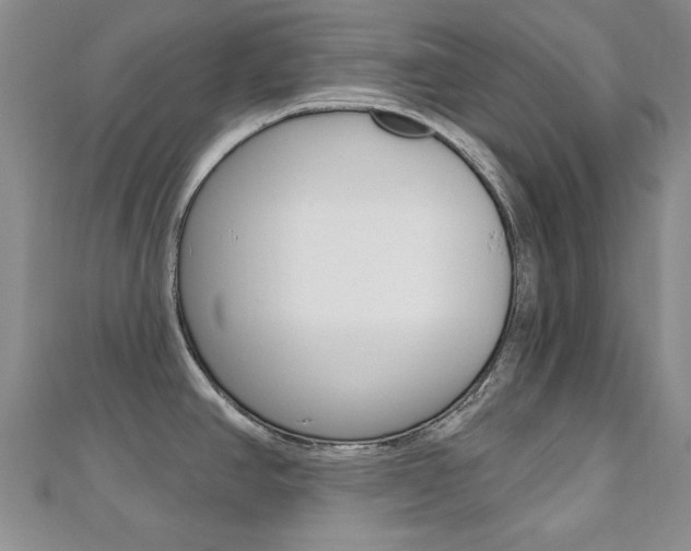 X0000110681390200906121026