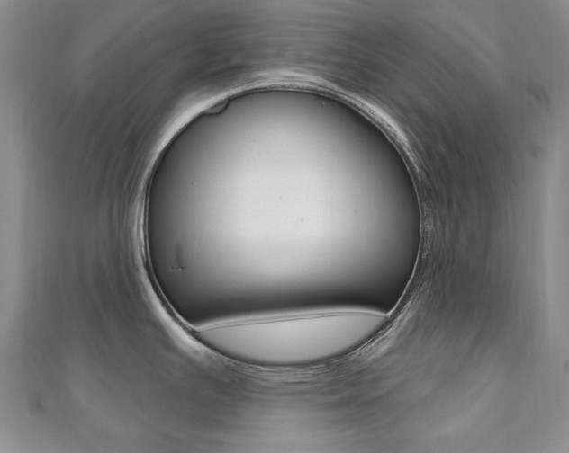 X0000110681391200906121026