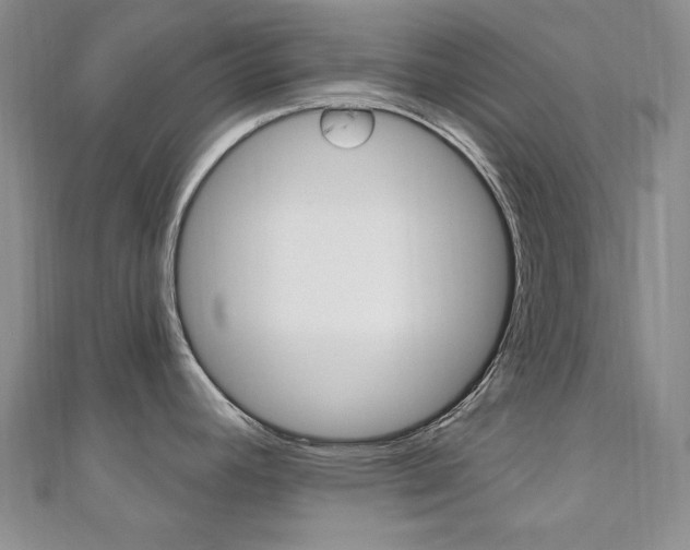 X0000110681392200906121026