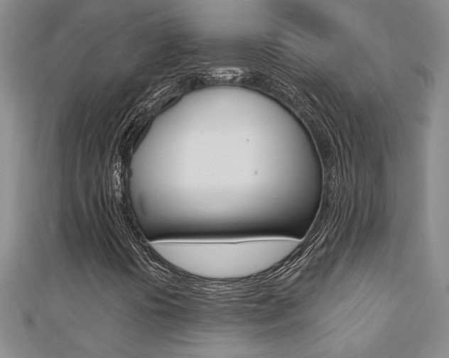X0000110681394200906121025