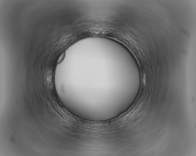 X0000110681396200906121025