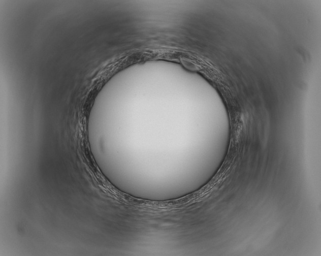 X0000110681397200906121025