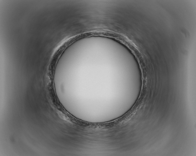X0000110681400200906121025