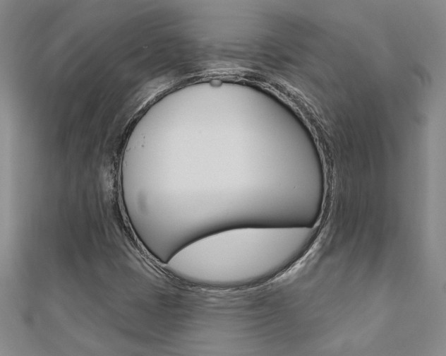 X0000110681401200906121025