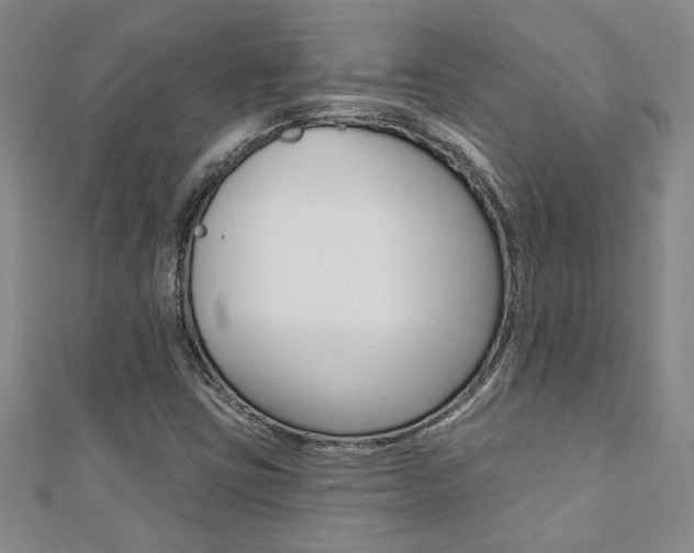 X0000110681403200906121025